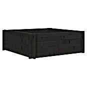 Upyard Hochbeet Multibox (L x B x H: 79 x 79 x 29,5 cm, Holz, Schwarz) | BAUHAUS