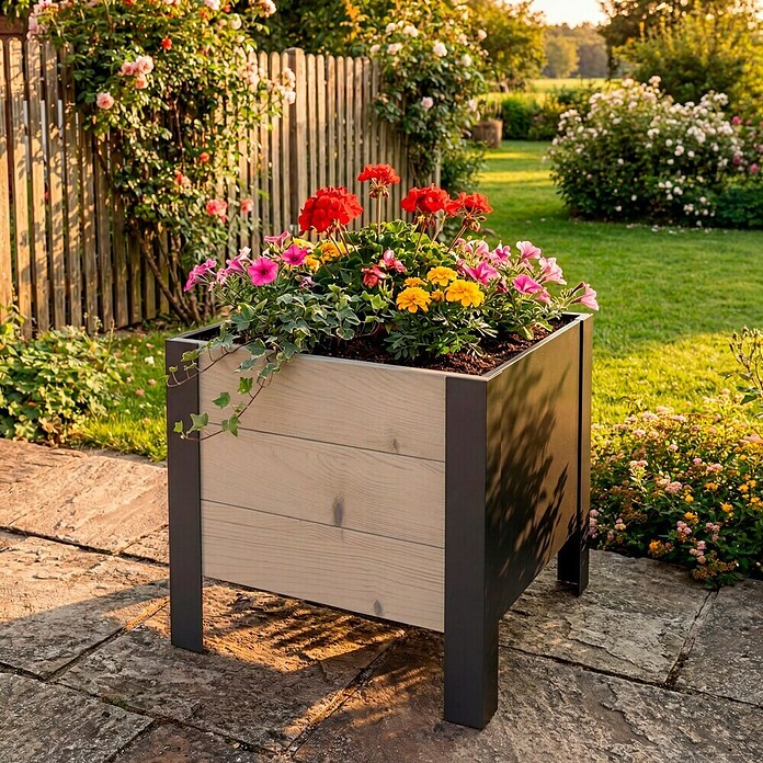 Upyard Pflanzkasten Modernbox niedrig (36 x 36 x 32 cm, Holz, Natur/Schwarz) | BAUHAUS