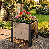 Upyard Pflanzkasten Modernbox niedrig (36 x 36 x 32 cm, Holz, Natur/Schwarz) | BAUHAUS
