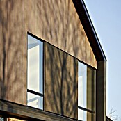 b!design Wandpaneel WPC Outdoor (Teak, WPC, 300 x 17,5 x 2,1 cm) | BAUHAUS