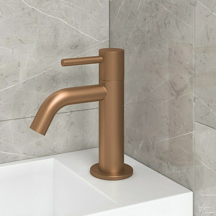 Best Design Fonteinkraan Liora High-End (Desert Brown, Mat, Roestvrij staal, Hoogte: 14,5 cm) | BAUHAUS