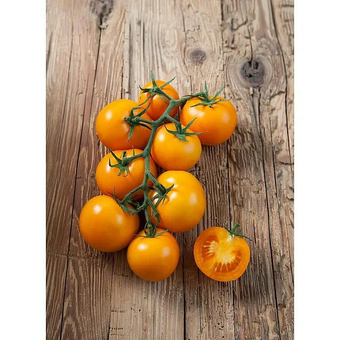 Piardino Tomate veredelt - Lycopersicon esculentum, 12 cm - Helle gelbe Tomaten an der Rebe, eine halbiert, auf rustikalem Holzuntergrund.