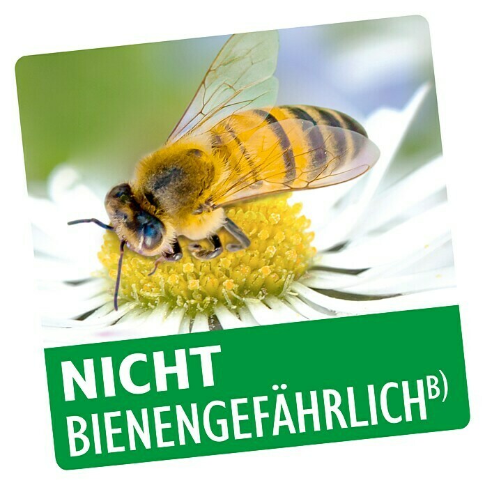 Neudorff Fungisan Rosen- & Zierpflanzen-Pilzfrei (1 l)