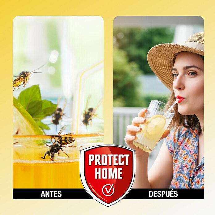 Spray antiavispas Protect Home (750 ml) | BAUHAUS