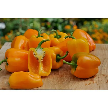 Piardino Bio Paprika