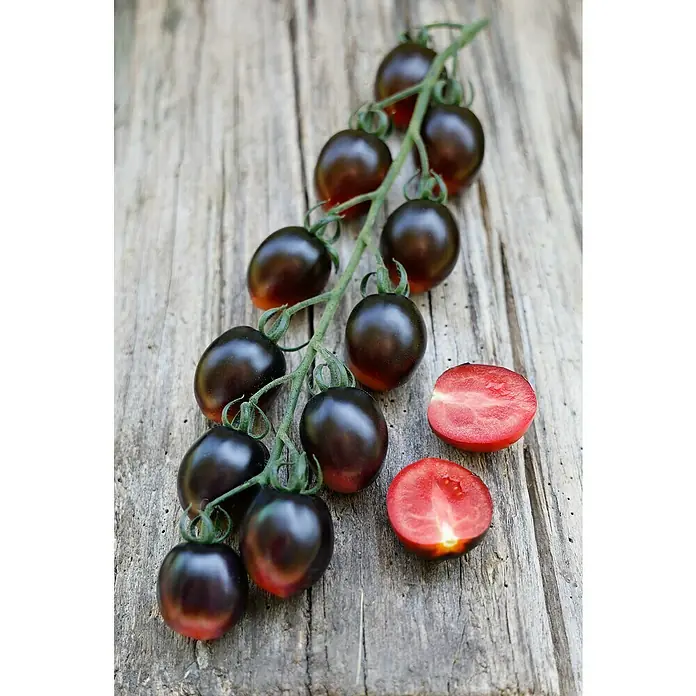 Piardino Tomate Bio veredelt - Lycopersicon esculentum, 12 cm - Schwarze Kirschtomaten an einer Rebe, zwei halbiert mit leuchtend rotem Fruchtfleisch, auf Holzoberfläche.