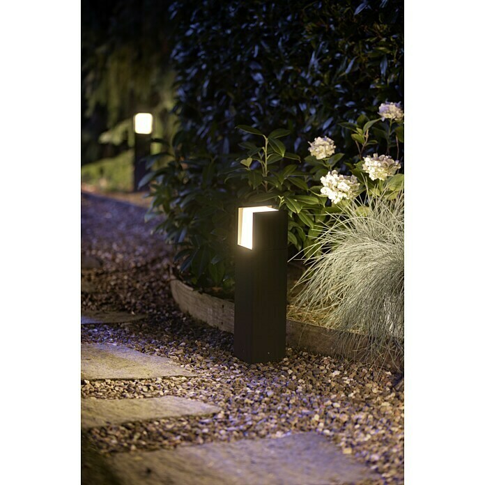 Philips Hue Sobremuro LED Fuzo  (1 luz, 15 W, Color de luz: Blanco cálido, IP44)