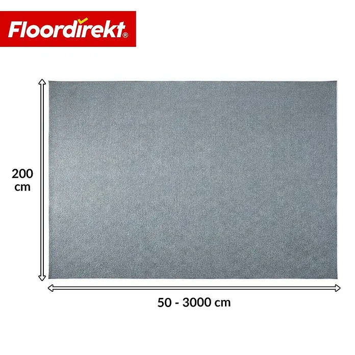 Floordirekt Teppichboden Meterware Malta - aus Nadelvlies - mit Schaumrücken - Grau - 200 x 250 cm - Breite: 200 cm, Nadelfilz, Polypropylen, Grau