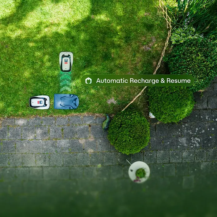 RoboUp Mähroboter Raccoon 2 SE - 600 m², Schnittbreite: 20 cm, Kamera-gestützte Navigation - Zwei Rasenmähroboter auf einem Rasen. Einer nähert sich seiner Ladestation zur automatischen Aufladung.