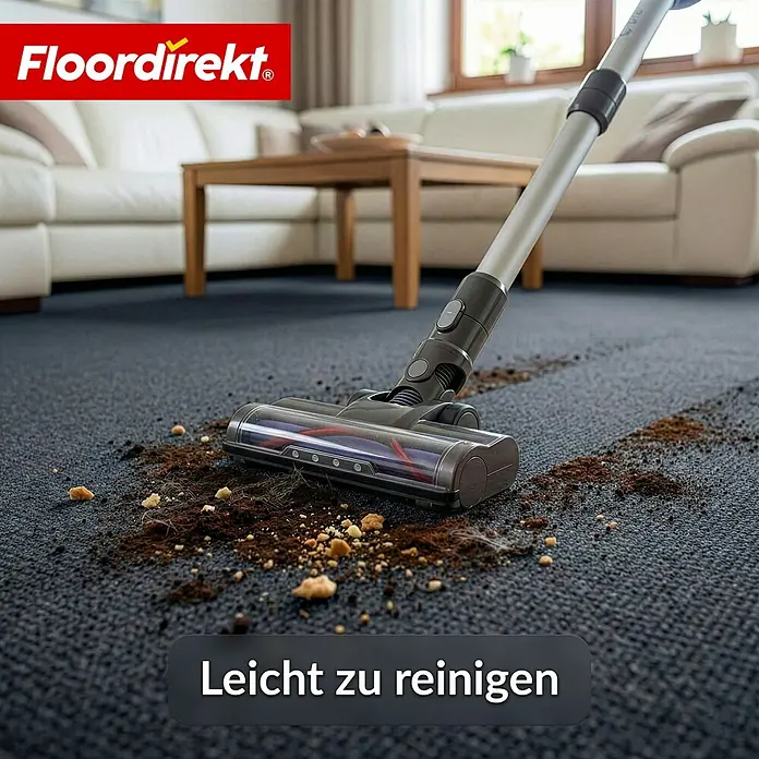 Floordirekt Teppichboden Meterware Malta - aus Nadelvlies - mit Schaumrücken - Anthrazit - 200 x 250 cm - Breite: 200 cm, Nadelfilz, Polypropylen, Anthrazit