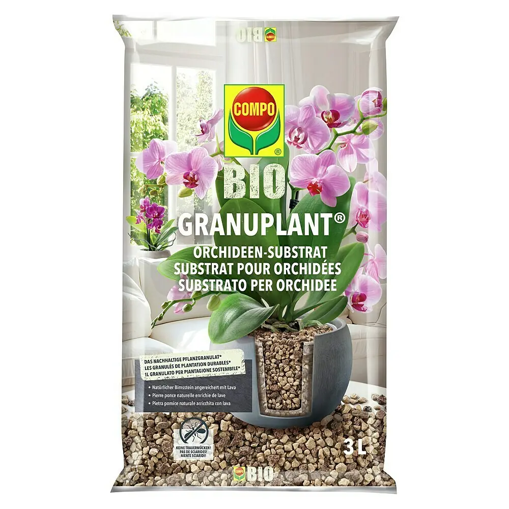 luffa saatgut Schwammgurke Luffa Samen