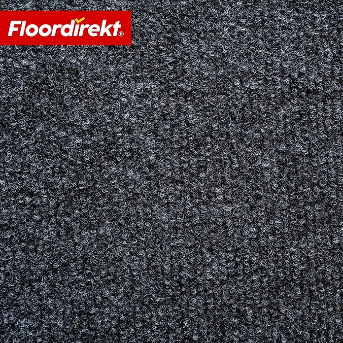 Floordirekt Teppichboden Meterware Malta - aus Nadelvlies - mit Schaumrücken - Anthrazit - 200 x 200 cm - Breite: 200 cm, Nadelfilz, Polypropylen, Anthrazit