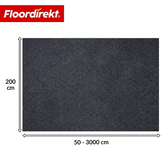 Floordirekt Teppichboden Meterware Malta - aus Nadelvlies - mit Schaumrücken - Anthrazit - 200 x 450 cm - Breite: 200 cm, Nadelfilz, Polypropylen, Anthrazit