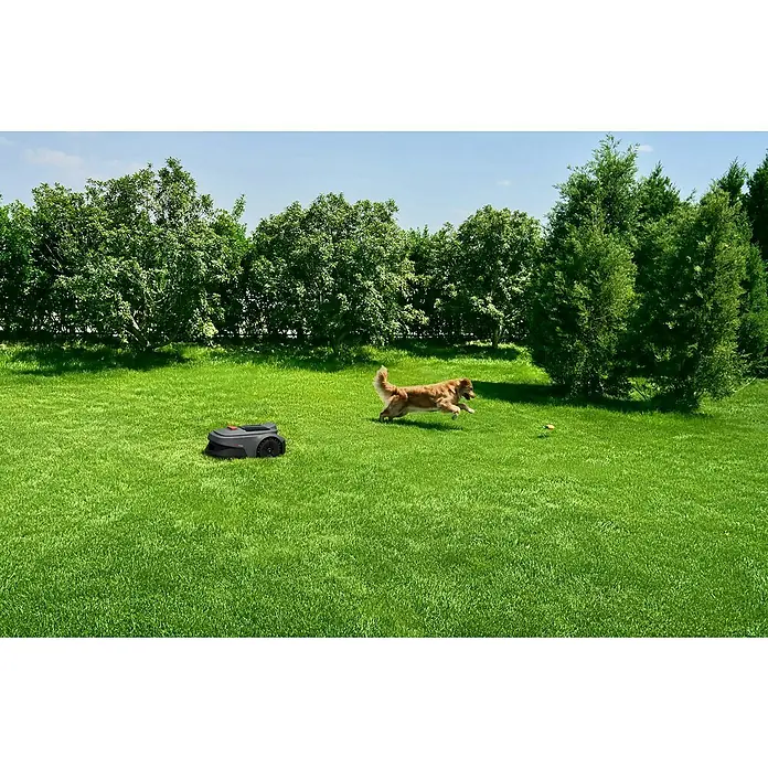 Mova Mähroboter Viax 300 - 300 m², Schnittbreite: 20 cm, Kamera-gestützte Navigation - Dunkelgrauer Rasenroboter mit roten Akzenten auf einem Rasen in einem Garten.