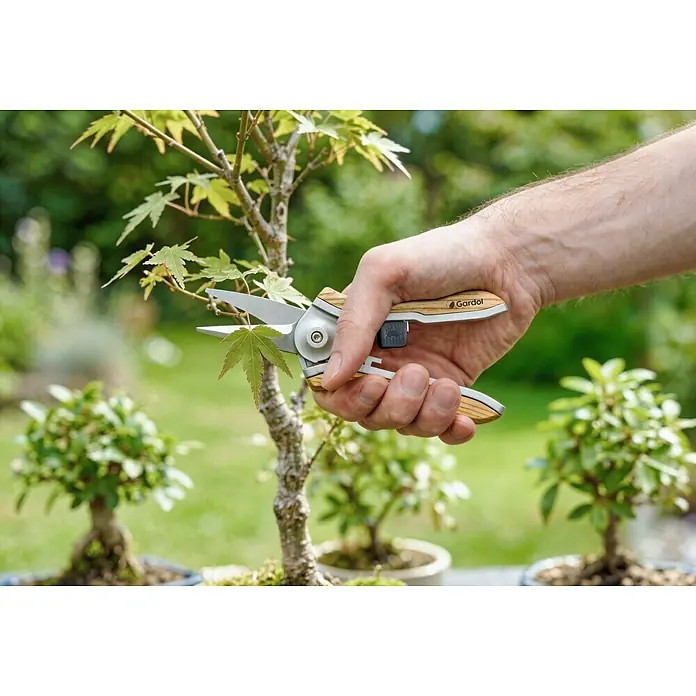 Gardol Trimmschere - Holz, Edelstahl - Hand trimmt mit Gardol Gartenschere mit Holzgriffen einen Bonsai-Baum.