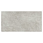Granitogresne ploščice Over  (120 x 60 cm, Srebrna, Mat) | 4240 - Natursteinoptik | EAFA - Bodenfliesen | EAF - Fliesen | EA - Fliesen | E - Fliesen | BAUHAUS