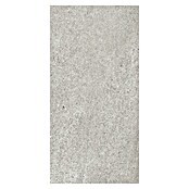Granitogresne ploščice Over  (61 x 30,5 cm, Srebrna, Mat) | 4240 - Natursteinoptik | EAFA - Bodenfliesen | EAF - Fliesen | EA - Fliesen | E - Fliesen | BAUHAUS
