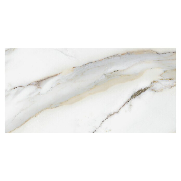 Porculanska pločica Marble Calacatta Gold  (61 x 30,5 cm, Bijela, zlatna, Svilenkasti mat) | BAUHAUS