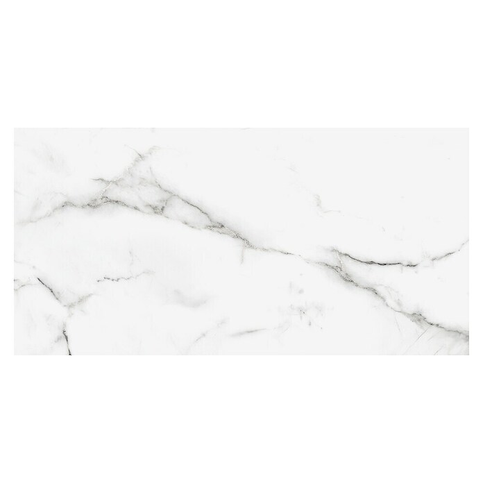 Granitogresne ploščice Silk Marble  (61 x 30,5 cm, Siva, Svilnati sijaj) | 4240 - Natursteinoptik | EAFA - Bodenfliesen | EAF - Fliesen | EA - Fliesen | E - Fliesen | BAUHAUS