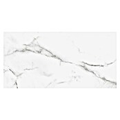 Granitogresne ploščice Silk Marble  (61 x 30,5 cm, Siva, Svilnati sijaj) | 4240 - Natursteinoptik | EAFA - Bodenfliesen | EAF - Fliesen | EA - Fliesen | E - Fliesen | BAUHAUS
