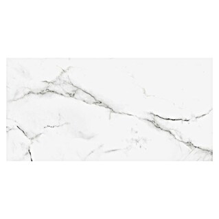 Porculanska pločica Calacatta Silk Marble (61 x 30,5 cm, Siva, Svilenkasti sjaj)