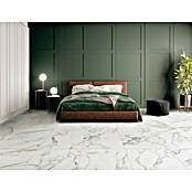 Granitogresne ploščice Silk Marble  (61 x 61 cm, Zlata, Svilnati sijaj) | 4240 - Natursteinoptik | EAFA - Bodenfliesen | EAF - Fliesen | EA - Fliesen | E - Fliesen | BAUHAUS