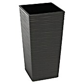 Visoka četvrtasta posuda za biljke Aurora  (Visina: 68 cm, Plastika, Antracit) | BAUHAUS