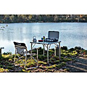 Campingaz Placa de gas (2 quemadores, 2 x 2.000 W, L x An x Al: 35 x 49 x 10 cm)