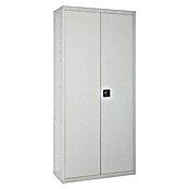 Regalux Armario multiusos metálico (L x An x Al: 40 x 100 x 180 cm, Gris) | BAUHAUS