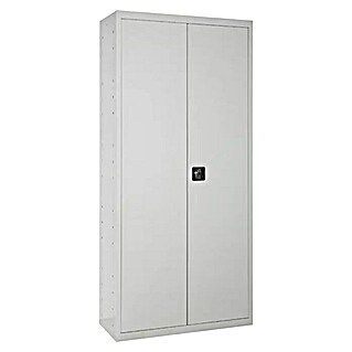 Regalux Armario multiusos metálico (L x An x Al: 40 x 100 x 180 cm, Gris)