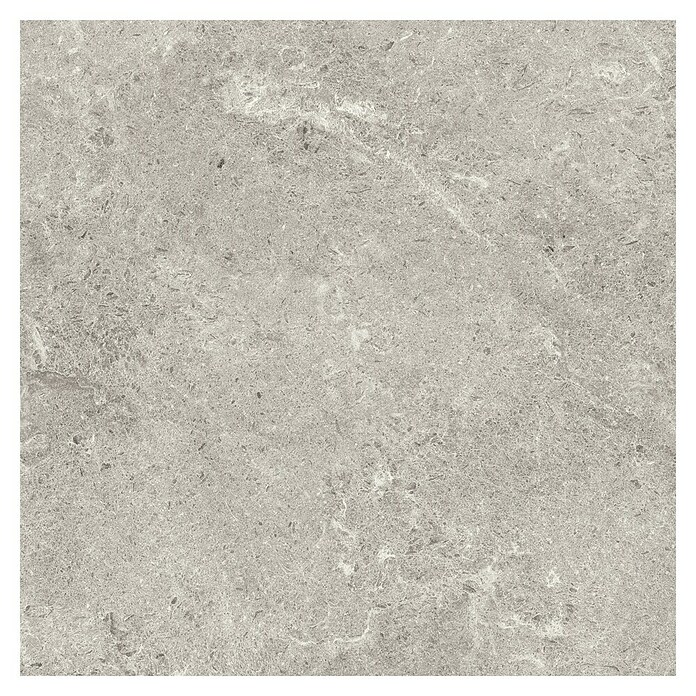 Porculanska pločica Stonecrete  (60 x 60 cm, Siva, Mat) | BAUHAUS