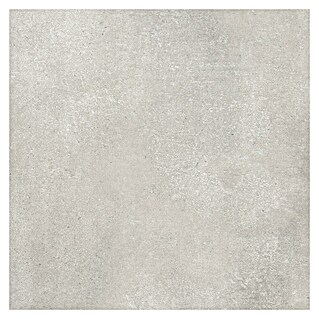 Granitogresne ploščice Wonder (60 x 60 cm, Siva, Mat)