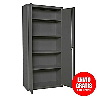 Regalux Armario multiusos metálico (L x An x Al: 40 x 100 x 180 cm, Antracita)