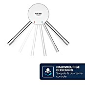 Grohe Essence Keukenkraan (Chroom, Glanzend, Hoge uitloop)