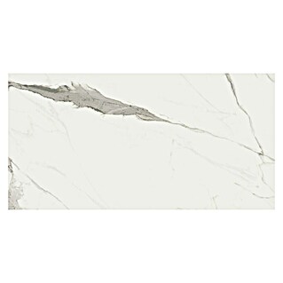 Feinsteinzeugfliese Pulido Slim (120 x 60 cm, Weiß, Glänzend)