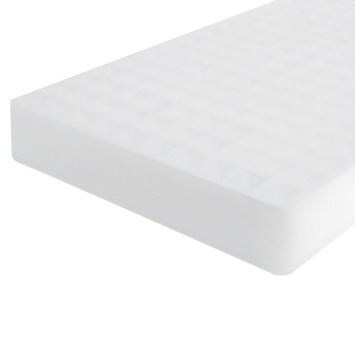Plastform Pladenj za gojenje  (Zunanje dimenzije (Do x Š x V): 515,5 x 60 x 303 mm) | 7482 - Frühanzucht | IAGG - Gartenartikel | IAG - Außenbereichsausstattung | IA - Gartenhartware | I - Stadtgarten | BAUHAUS