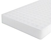 Plastform Pladenj za gojenje  (Zunanje dimenzije (Do x Š x V): 515,5 x 60 x 303 mm) | 7482 - Frühanzucht | IAGG - Gartenartikel | IAG - Außenbereichsausstattung | IA - Gartenhartware | I - Stadtgarten | BAUHAUS