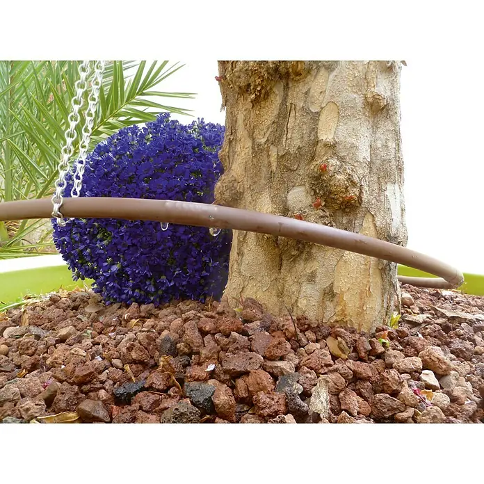 Tubo de goteo integrado - 16 mm, Largo: 25 m - Sistema de riego alrededor de un árbol con flores azules. El sistema asegura un suministro uniforme de agua.