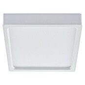 Green Tech LED panel  (18 W, D x Š x V: 210 x 210 x 40 mm, Bijela) | BAUHAUS