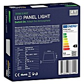 Green Tech LED panel  (12 W, D x Š x V: 160 x 160 x 40 mm, Bijela) | BAUHAUS
