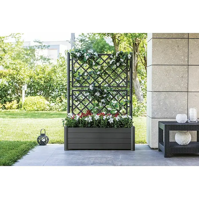 Pflanzkasten Set - Außenmaß (L x B x H): 100 x 43 x 142 cm, Kunststoff, Anthrazit, mit Spalier, 2 Stk. - Dunkelgrauer Pflanzkasten mit integriertem Spalier, bepflanzt mit Kletter- und Blütenpflanzen auf einer Terrasse.