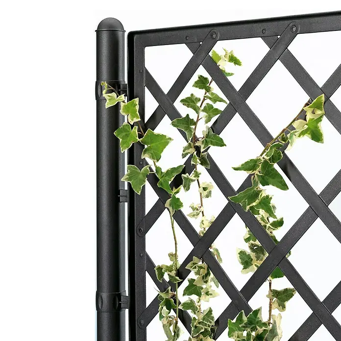 Pflanzkasten Set - Außenmaß (L x B x H): 100 x 43 x 142 cm, Kunststoff, Anthrazit, mit Spalier, 2 Stk. - Schwarzes, ausziehbares Gartenspalier mit Efeu. Ideal für Kletterpflanzen.