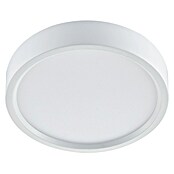 Green Tech LED panel  (18 W, Ø x V: 21 x 4 cm, Bijela) | BAUHAUS