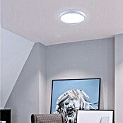Green Tech LED panel  (18 W, Ø x V: 21 x 4 cm, Bijela) | BAUHAUS