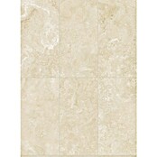 Porculanska pločica Sicily  (120 x 60 cm, Boja slonove kosti, Mat) | BAUHAUS