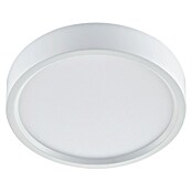 Green Tech LED panel  (24 W, Ø x V: 29 x 4 cm, Bijela) | BAUHAUS
