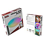 Panaled Plafón LED redondo Prisma (55 W, Ø x Al: 47 x 7 cm, Blanco, RGBW) | BAUHAUS