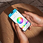 Panaled Plafón LED redondo Spectra (55 W, Ø x Al: 48 x 7 cm, Blanco, RGBW) | BAUHAUS