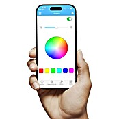 Panaled Plafón LED redondo Prisma (55 W, Ø x Al: 47 x 7 cm, Blanco, RGBW) | BAUHAUS