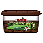 Gnojilo za trato Stop mah  (5 kg, Maksimalna površina pokrivanja: 50 m²) | 7514 - Gartendünger mineralisch | IAHC - Dünger | IAH - Dünger / Pflanzenschutz | IA - Gartenhartware | I - Stadtgarten | BAUHAUS